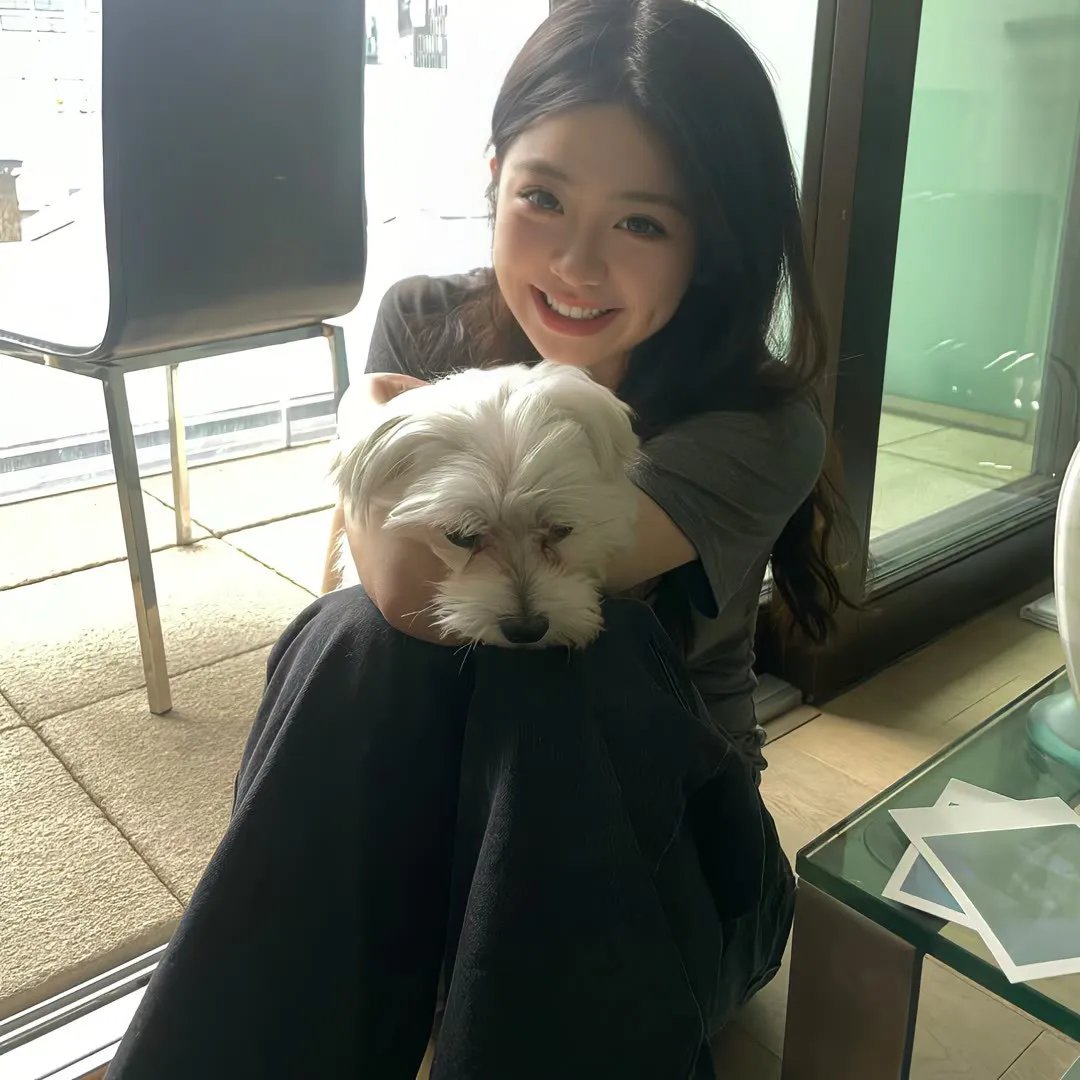 鲨鱼海豚浴血战